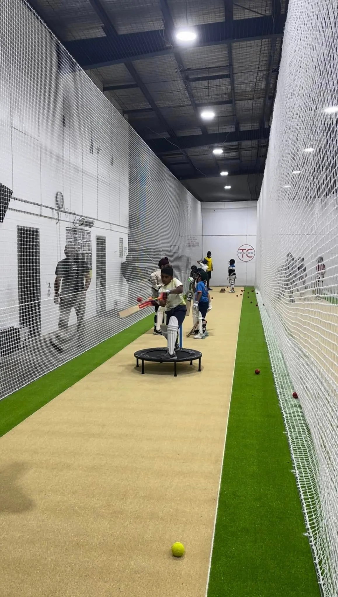 Cricket batting practice with pro kit
